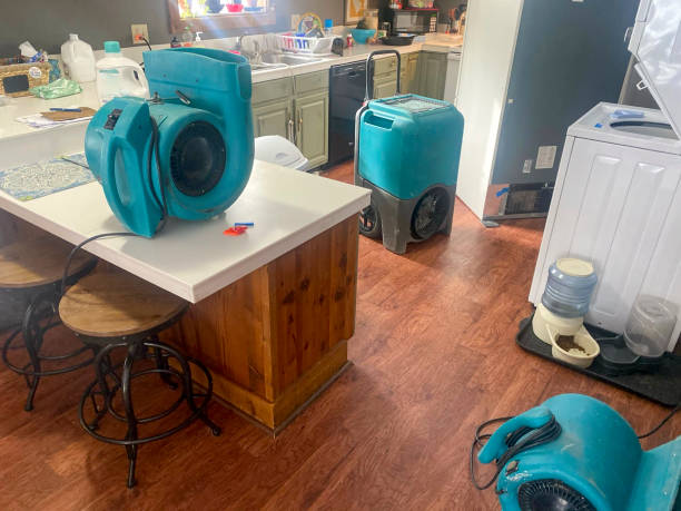  Bethel, AK Water damage restoration Pros