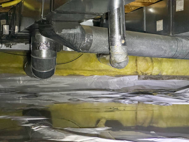Best Professional water damage repair  in Bethel, AK