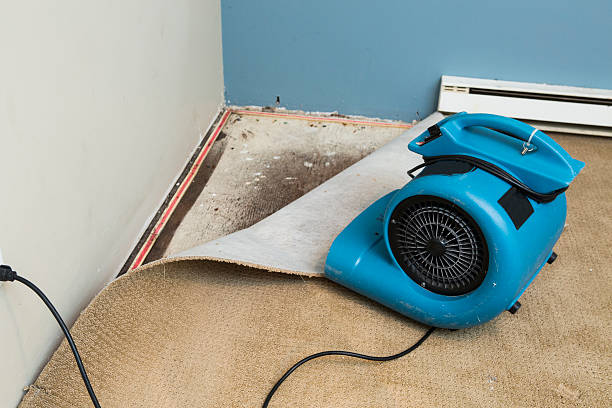 Best Emergency water damage restoration  in Bethel, AK